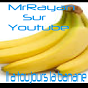 /album/galerie-photos/onlinelogomaker-053115-2018053115-2023-png1/